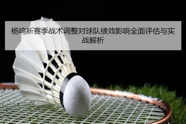杨鸣新赛季战术调整对球队绩效影响全面评估与实战解析